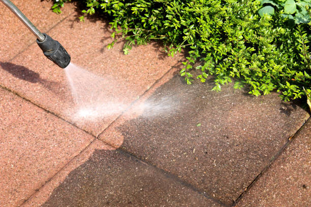 Best Pressure Washing Near Me  in Clayton, NJ